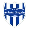 Avântul reghin