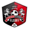 Fleury 91