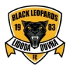 Black leopards