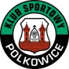 Górnik polkowice