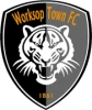 Worksop town