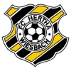 Hertha wiesbach