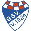 Brinkumer sv