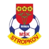 Msk tesla stropkov