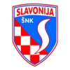 Slavonija požega