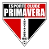 Primavera sp