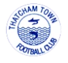 Thatcham town