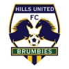 Hills brumbies