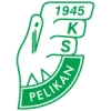 Pelikan łowicz